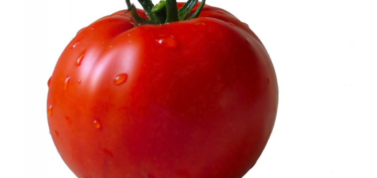 گوجه فرنگی سوپر اوربانا
